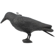 LOCKKRÄHE SCHWARZ Lockkrähe SEILFLECHTER Tauwerk GmbH 