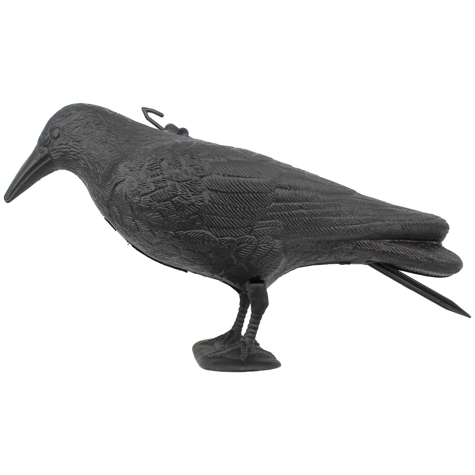 LOCKKRÄHE SCHWARZ Lockkrähe SEILFLECHTER Tauwerk GmbH 