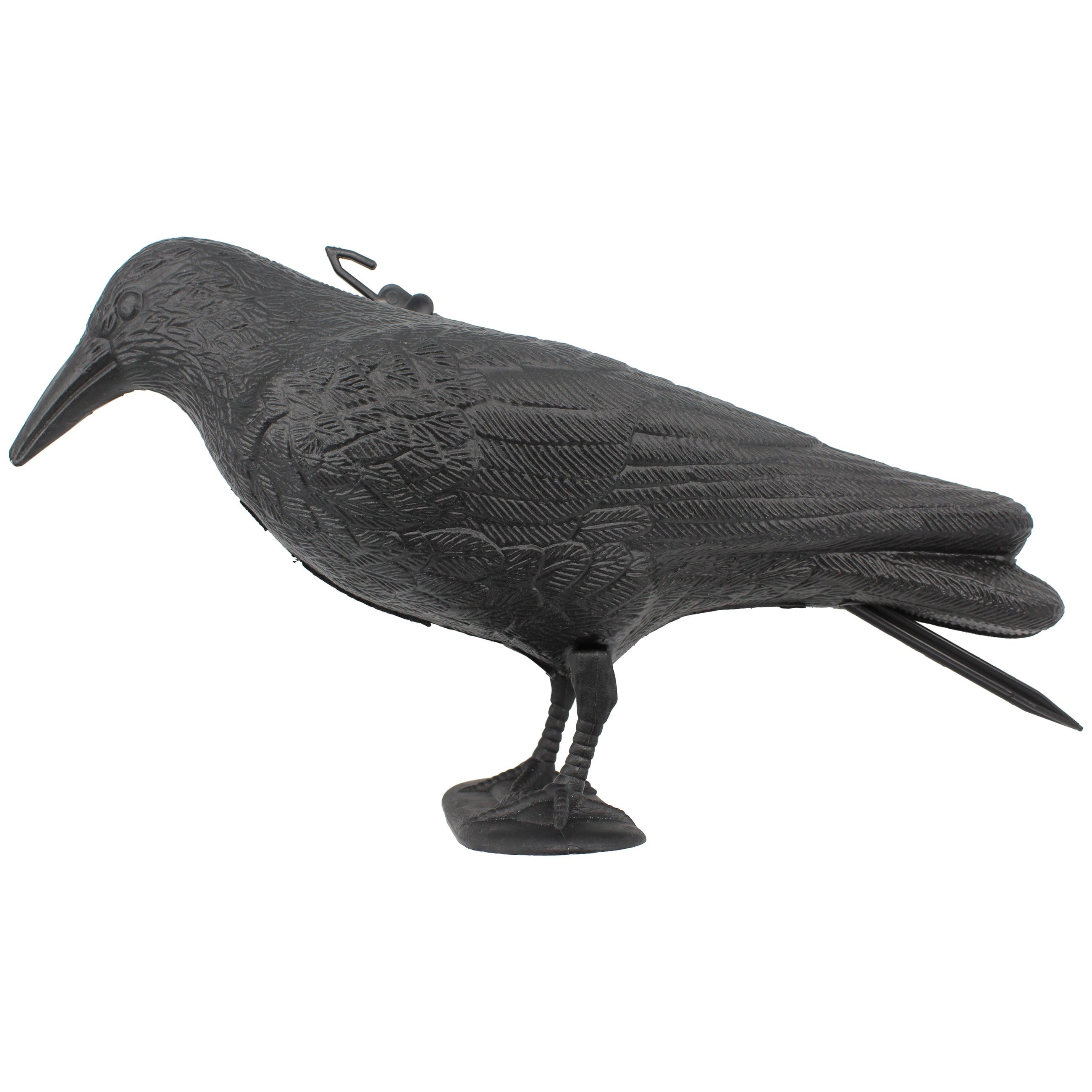 LOCKKRÄHE SCHWARZ Lockkrähe SEILFLECHTER Tauwerk GmbH 