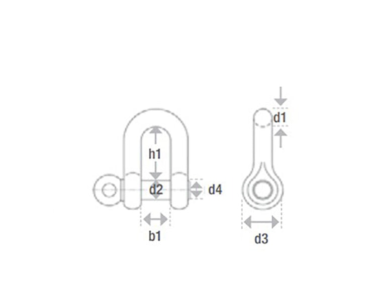Schäkel gerade EN13889 Form-A Schäkel Seilflechter Tauwerk GmbH 