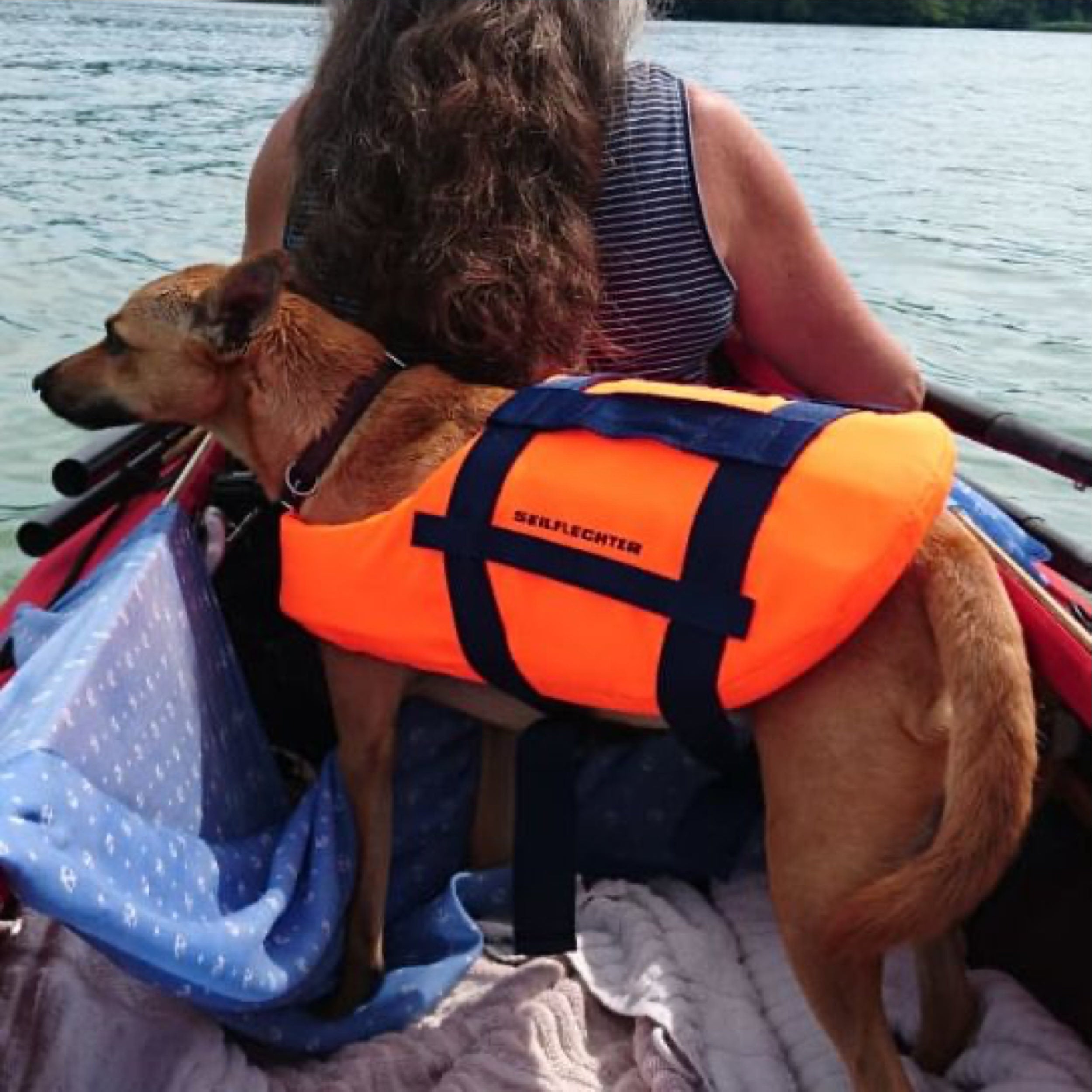 Schwimmweste für Hunde und Katzen Schwimmwesten für Hunde und Katzen Seilflechter 