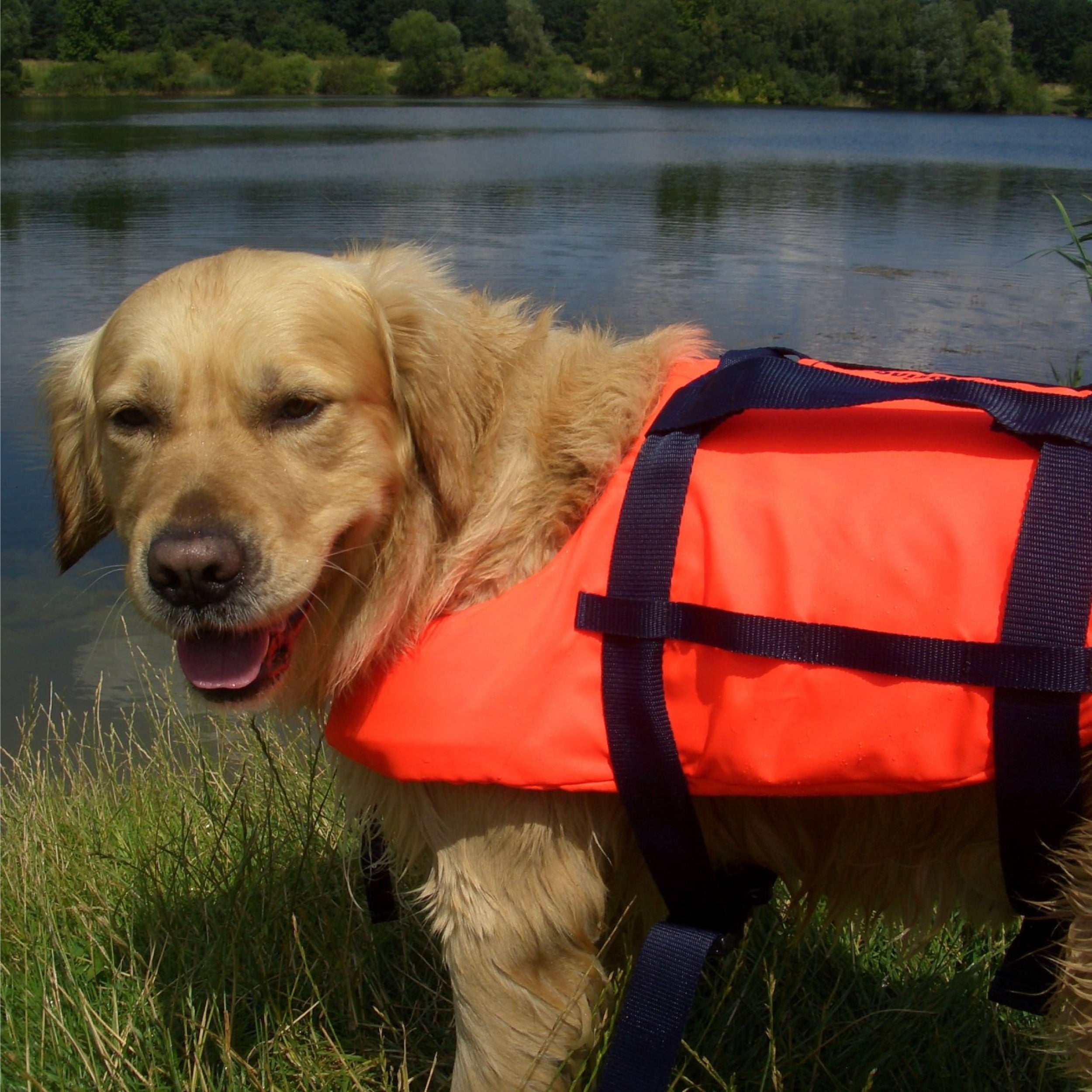 Schwimmweste für Hunde und Katzen Schwimmwesten für Hunde und Katzen Seilflechter 
