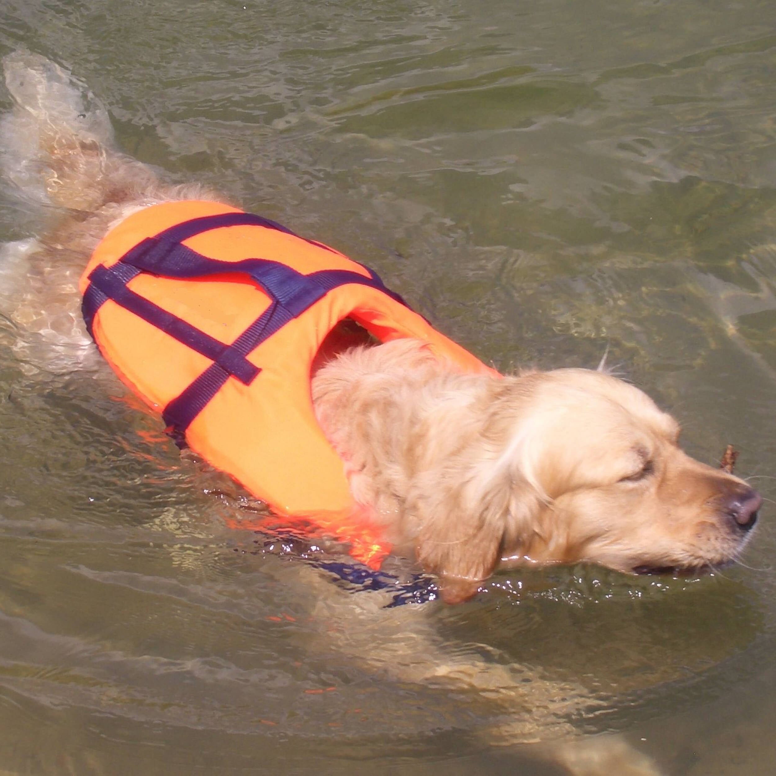 Schwimmweste für Hunde und Katzen Schwimmwesten für Hunde und Katzen Seilflechter 